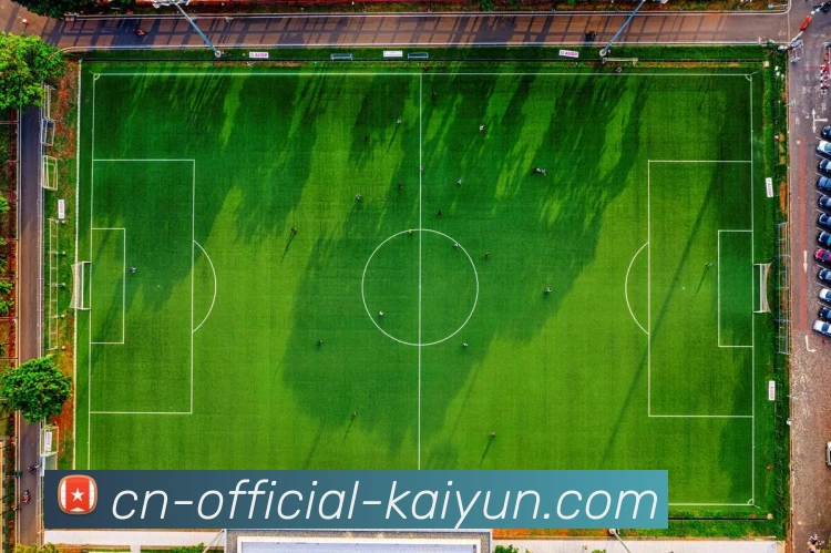 开云APP 高清赛事图