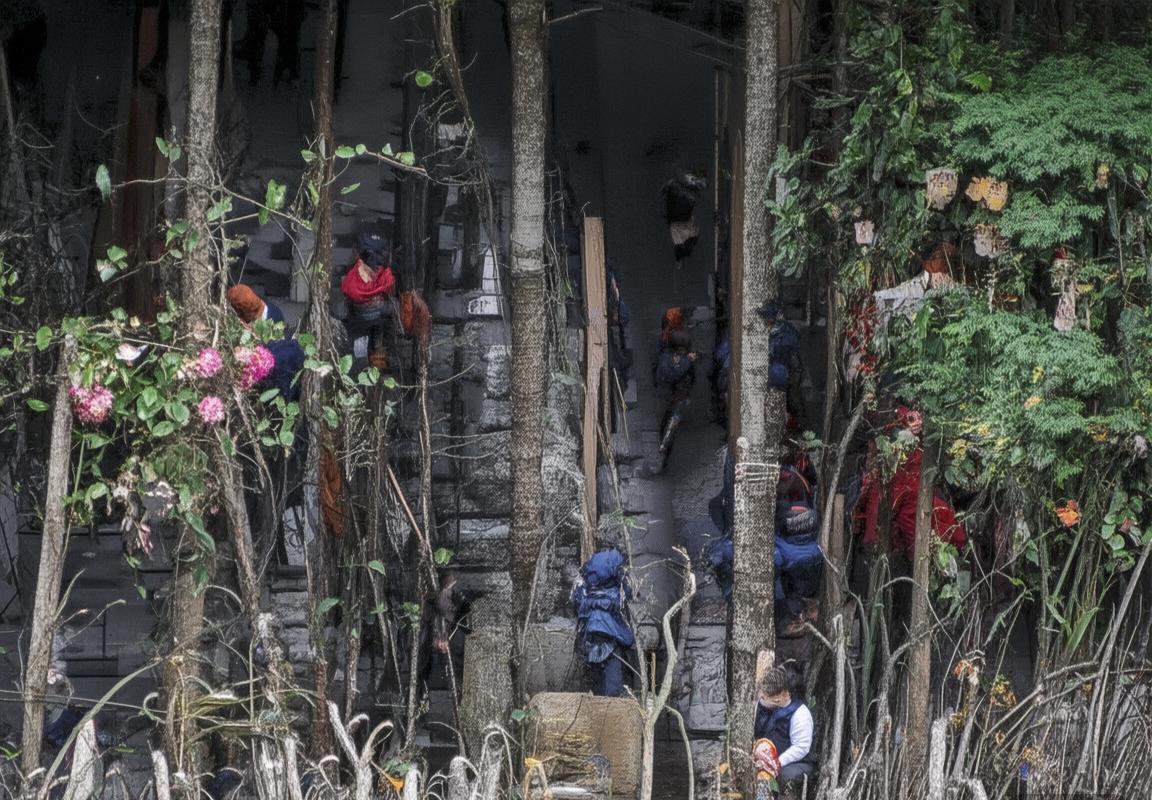 巴西VS玻利维亚足球对决：状态、战术、主场优势与胜算分析